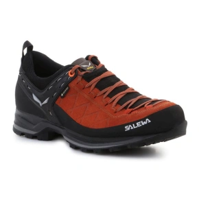 Męskie buty Salewa MS MTN Trainer 2 GTX M 61356-7519