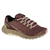 Buty do biegania Merrell Fly Strike W J067618