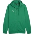Bluza Puma Team Goal Casuals Hooded M 658595 05 pánské