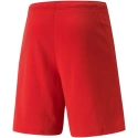 Męskie buty teamRISE Short M 704942 01 - Puma