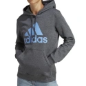 Buty damskie Big Logo FL R HD W IC9845 - Adidas