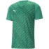 Koszulka Puma teamUltimate M 705371 05 pánské