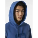 Bluza męska Box Hoodie M 53289 636 - Helly Hansen