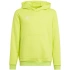 Dziecięca koszulka piłkarska Entrada 22 Hoody Jr HC5069 - Adidas