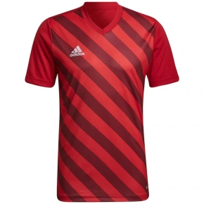 Męska koszulka Entrada 22 Graphic Jersey M HB0572 - Adidas