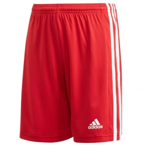 Spodenki młodzieżowe Squadra 21 GN5761 - Adidas