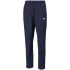 Męskie buty TeamRise Sideline M 657327 06 - Puma