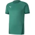 Koszulka Puma teamGOAL 23 Jersey M 704171 05 pánské