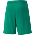 Męskie spodenki teamRISE Short M 704942 05 - Puma