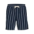 Jack&Jones męskie szorty w paski JPSTJAIDEN COBA STRIPE JOG SHORTS REG SN 12274413 SKY CAPTAIN/STRIPES
