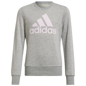 Girls Big Logo Swt Jr HM8706 - Adidas