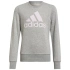 Girls Big Logo Swt Jr HM8706 - Adidas