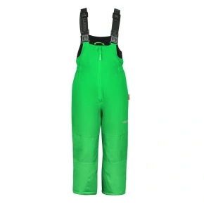 Spodnie narciarskie dla dziewczynki/chłopca Trollkids Kids Nordkapp Pants zimowe sportowe zielone (902-303) Spodnie narciarskie dla dziewczynki/chłopca Trollkids Kids Nordkapp Pants zimowe sportowe zielone (902-303)