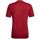 Męska koszulka Entrada 22 Graphic Jersey M HB0572 - Adidas