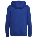 Bluza dziecięca Big Logo Essentials Hoody Jr HN1912 - Adidas