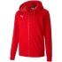 Męska koszulka teamGoal 23 Casuals Hooded M 656708 01 - Puma