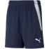 Spodenki Puma teamLIGA Shorts Jr 704931 06