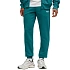 Spodnie męskie Puma Ess 2 Color No.1 Logo zielone 684714 41