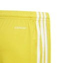 Spodenki młodzieżowe Squadra 21 GN5760 - Adidas