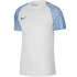 Koszulka Nike Dri-FIT Academy Jsy SS M DH8031 102 pánské