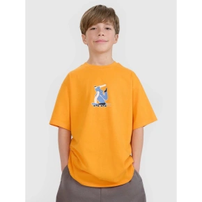 Chłopięcy t-shirt z nadrukiem 4F 4FJRSS25TTSHM2641-70S Chłopięcy t-shirt z nadrukiem 4F 4FJRSS25TTSHM2641-70S