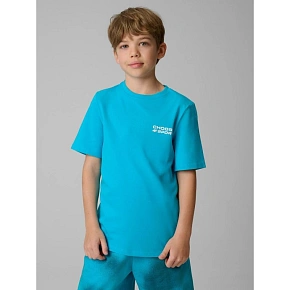 T-shirt regular z nadrukiem chłopięcy 4F 4FJRSS26TTSHM3832-33S