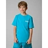 T-shirt regular z nadrukiem chłopięcy 4F 4FJRSS26TTSHM3832-33S