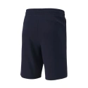 Męskie buty TeamGoal 23 Casuals M 656581-06 - Puma