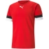 Męska koszulka treningowa teamRise Jersey M 704932 01 - Puma