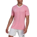 Koszulka męska Entrada 22 Jersey M HC5072 - Adidas