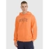 Bluza dresowa nierozpinana z kapturem męska 4F 4FRSS25TSWSM2201-70S pánské