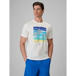 T-shirt regular z nadrukiem męski 4F 4FRSS26TTSHM4291-11S
