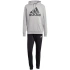 Dres adidas Big Logo Terry M IC6749