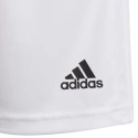 Spodenki młodzieżowe Squadra 21 GN5765 - Adidas