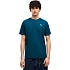 Koszulka męska Puma Wardrobe Ess Tee ciemnoniebieska 629644 36 pánské