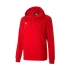 Męskie buty TeamGoal 23 Casuals M 656580-01 - Puma
