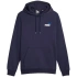 Bluza Puma ESS+ 2 Col Small Logo Hoodie FL M 674471 06 pánské