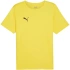 Koszulka Puma teamRISE Matchday Jersey M 706132 07 pánské