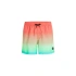 Szorty kąpielowe O'Neill Jack Cali Gradient 15'' Swim Shorts M 92800613575