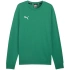Bluza Puma Team Goal Casuals Crew Neck Sweat M 658592 05 pánské