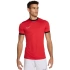 Koszulka Nike Academy 25 SS Top M FZ9754 657 pánské