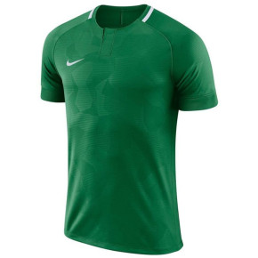 Dziecięca koszulka piłkarska Y NK Dry Chalang II JSY SS Jr 894053 341 - Nike