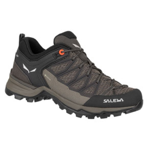 Salewa Mtn Trainer Lite GTX W damskie buty trekkingowe 61362-7517
