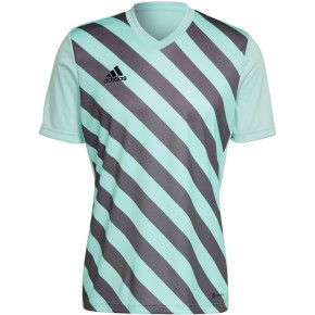 Męska koszulka Entrada 22 Graphic Jersey M HF0119 - Adidas