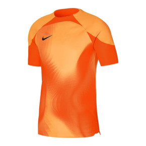 Męska koszulka bramkarska Dri-FIT ADV Gardien 4 M DH7760-819 - Nike