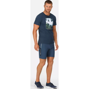 Męskie spodenki Regatta Mountain II Shorts RMJ264-785 niebieskie