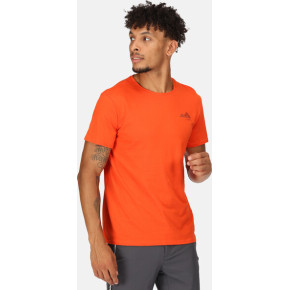 Męska koszulka Regatta RMT273-33L pomarańczowa